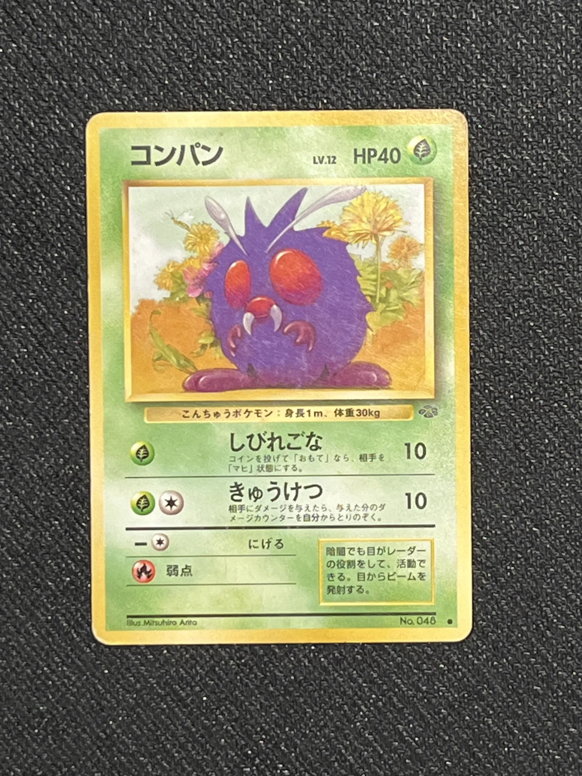 bluzuk