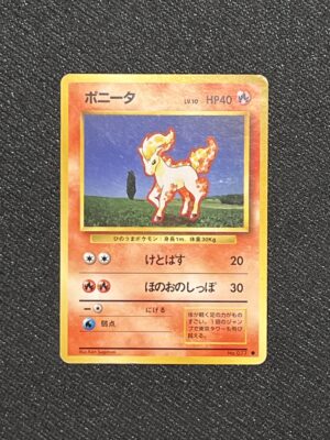 ponyta